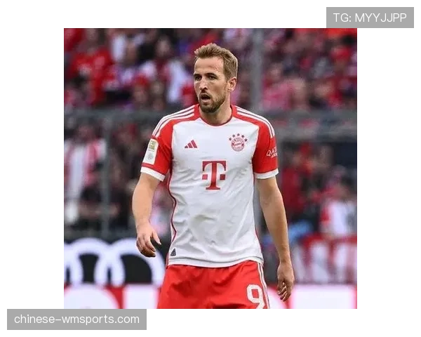 哈里·凯恩连续两季获德甲金靴 26球表现无人替代